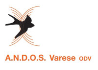Andos Varese Logo